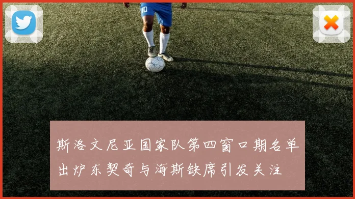 斯洛文尼亚国家队第四窗口期名单出炉东契奇与海斯缺席引发关注