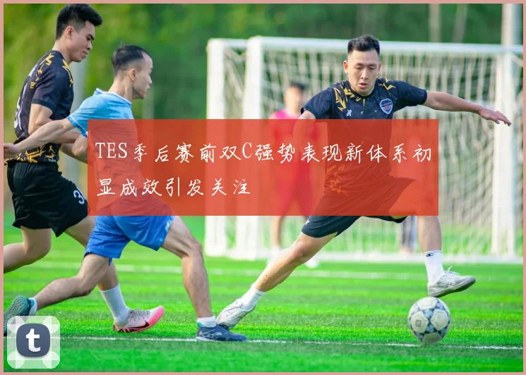 TES季后赛前双C强势表现新体系初显成效引发关注